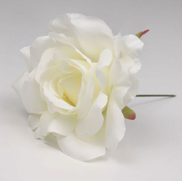 Petite rose de Cadix. 10cm. Blanc